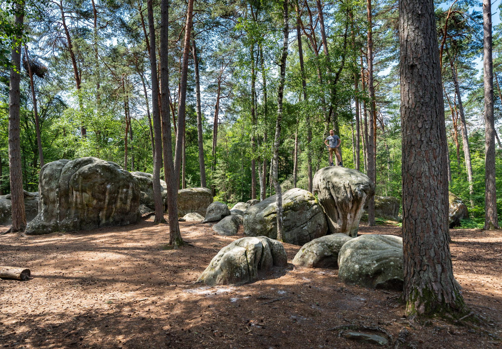 Fontainebleau